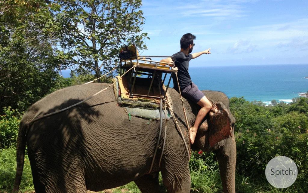 Essayez de capter l'attention !